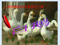 十时是着大样着中多来句子大全