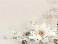 倾尽天下乱世繁华句子