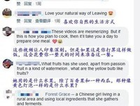 越南博主被指抄袭李子柒：不要拿你的业余，去挑战别人