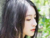 找不到南墙经典的句子