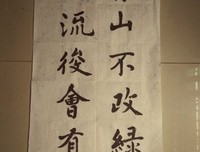 青山入旧年读后感锦集