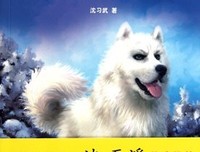 小狗钱钱的人生整理术读后感1000字
