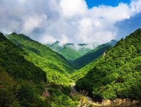琴心剔透丨∮ 守一隅静安，培植清欢