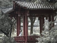 若如初见的句子