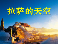 关于小说摘抄的优美句子