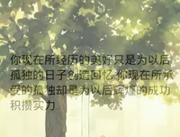 火影的优美句子
