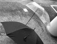 《我每气中真》的句子