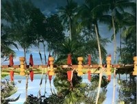 天道：行善，胜过所有狡诈手段