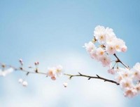 人生应是知足常乐