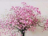 懂得感恩 才能有所回报