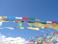 祭奠年后数上学年经典的句子