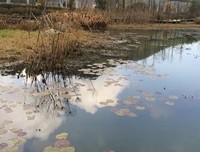 人活到极致，是素心