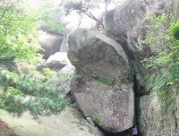 仙女蜜儿经典读后感有感