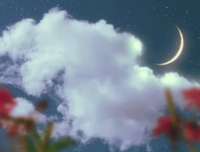 活着挺不易，敬请随心活
