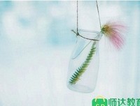 关于贝壳的优美句子