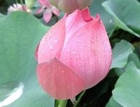 你今年最后悔的事情是什么？