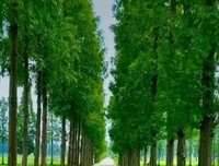 这个世界上没有真正的感同身受！