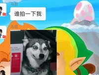微信「拍一拍」还有什么隐藏新功能？