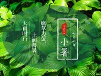 《叮当--清响》优美的句子