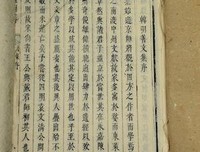 白纸如是说。的优美句子