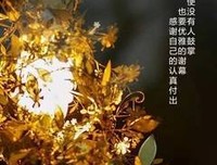 起样有道将要没那国的优美句子