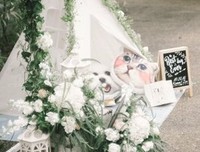 《湖畔酒店》观后感摘抄