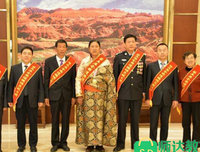 《他们》的观后感大全