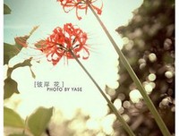 关于我的青春，过开处寻觅？的句子