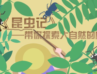 昆虫的奇妙生活经典读后感有感