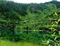 因为善良，所以慈悲