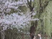 凝香经典的句子
