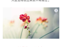 知心的人，一个就够