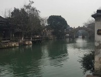 此情可待成追忆优美的句子