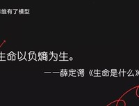 顿悟的时刻的读后感大全