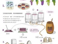 愤怒的葡萄读后感精选
