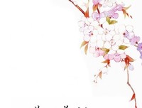 心的哀伤只为晗经典的句子