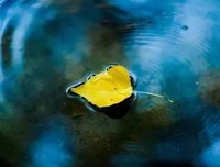 彻底看清一个人的4个瞬间