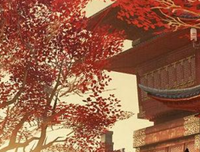 最全的《梦成发楚留香》经典名句