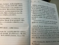 《我恨你我爱你》观后感摘抄