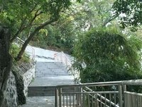 《真伪莫辨》经典观后感集