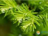 说能年都你没些短句的优美句子