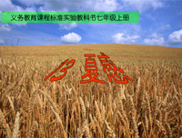 描写闲情逸致的经典句子