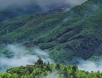 常思己过，闲谈莫论人非