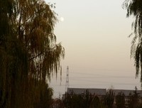 月上柳梢头