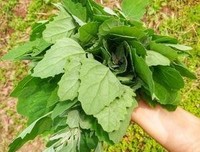 爱人间山河岁月，恋一场山温水软
