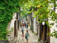 关于墨 叶的句子