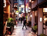 有关日本文家把的句子