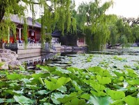 这样跟孩子讲道理，水到渠成。。。