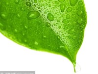 一滴水的渺小与伟大