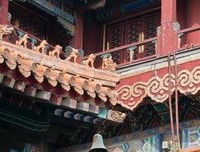 一个执着顽固与算命老先生的故事